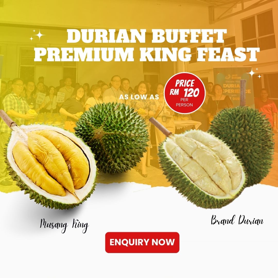 Durian Buffet - Premium King Feast Package 240 KG of Premium Durian, Starting from RM 120 Per Pax